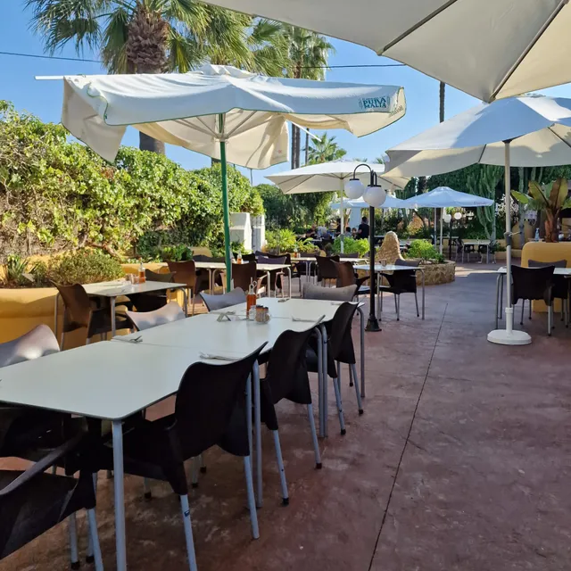 The Palms Beach Club