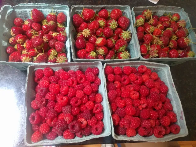 Monahan Farm Stand And PYO