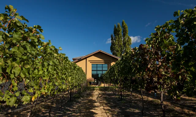 Ex Nihilo Vineyards & Tasting Room