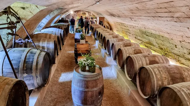 Cave des Dômes du Château de Chenonceau