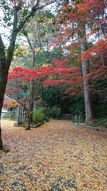 Chinkoku-ji