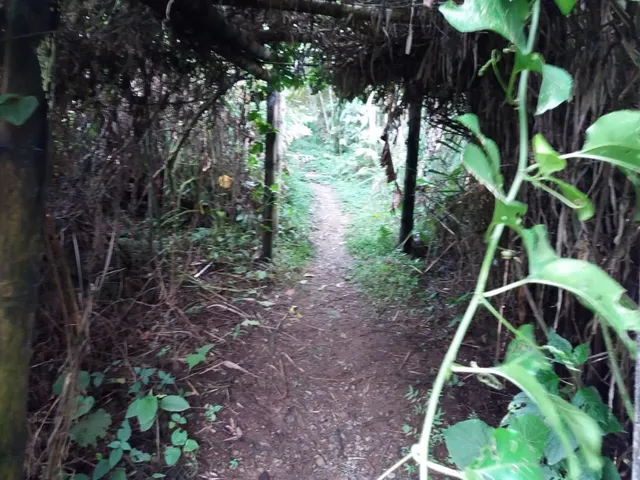 Bioparque Bonita Farm