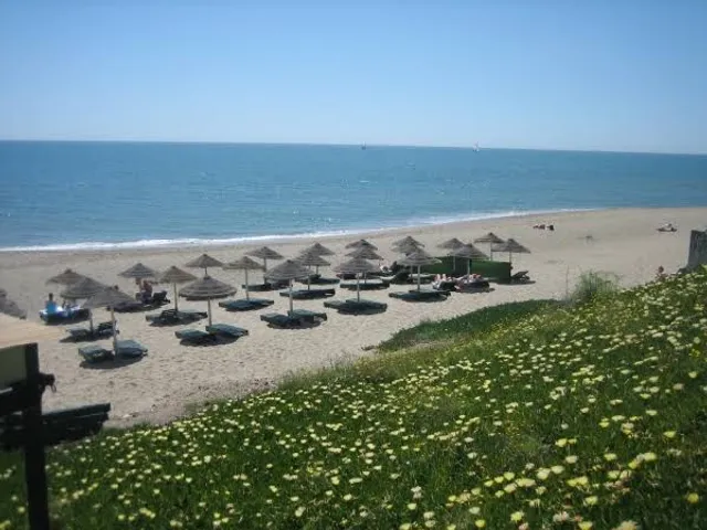 Playa del Ejido