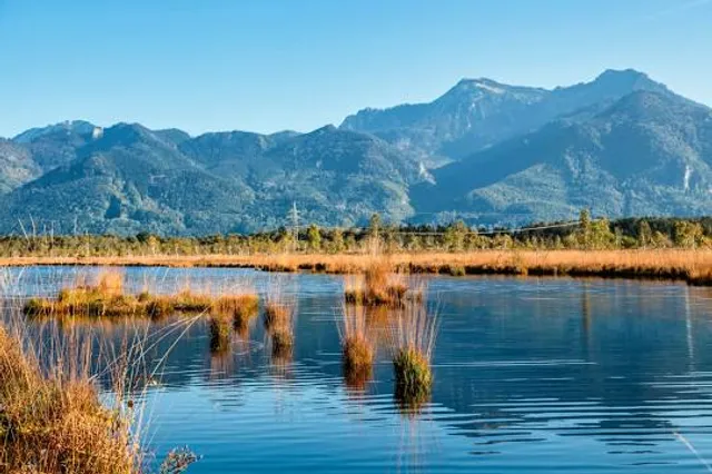 Aussichtsturm Kendlmühlfilzen