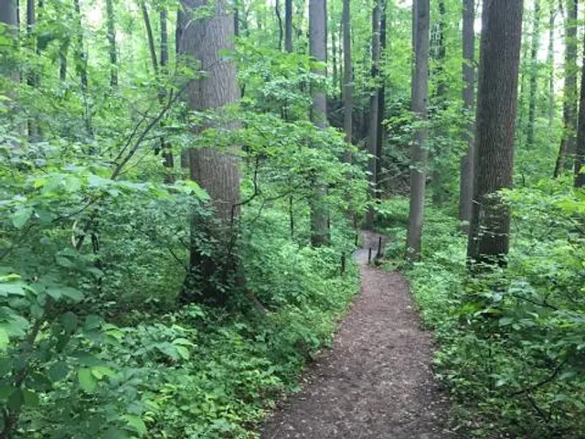 Cromwell Valley Park