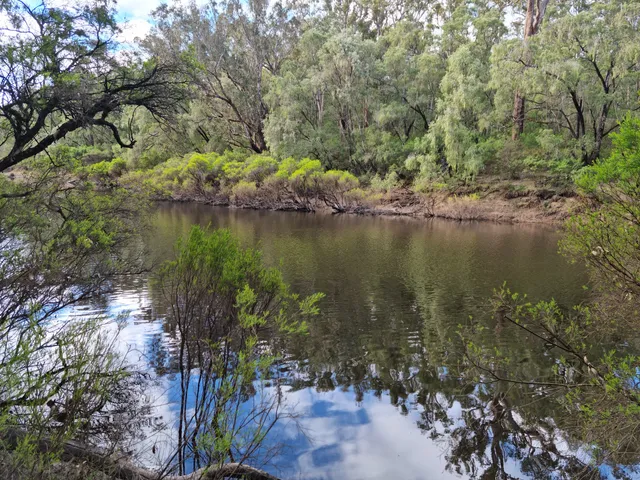 Blackwood River National Park