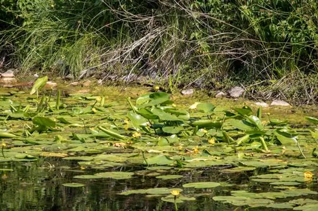 Barfußpfad Ludwigswinkel