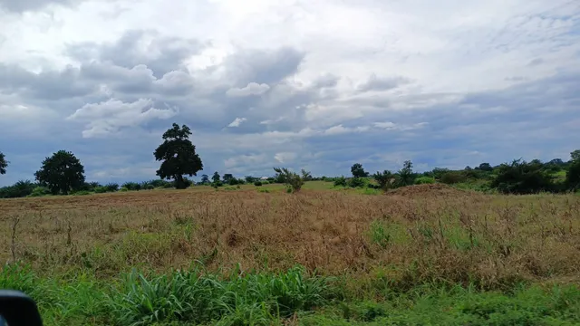 Kogyae Strict National Reserve