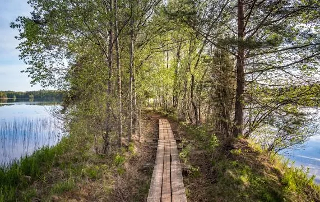 Liesjärvi National Park