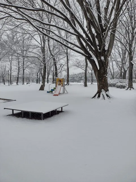 Fujimichuokinrin Park