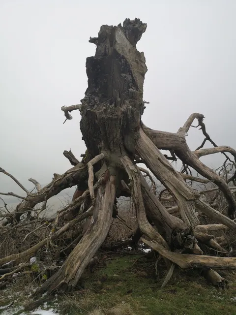 Extratour "Vorderrhönweg" - Premiumwanderweg