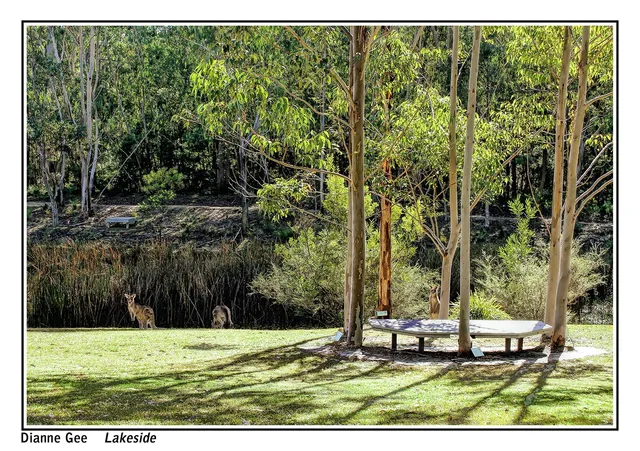 Eurobodalla Regional Botanic Garden