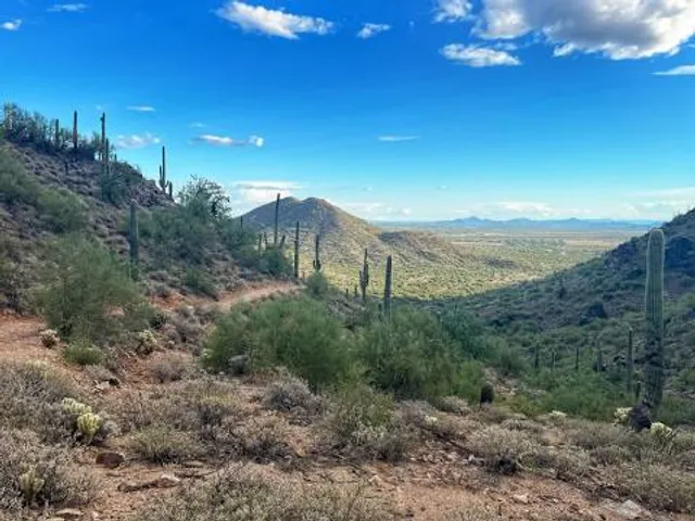 Cave Creek Regional Park