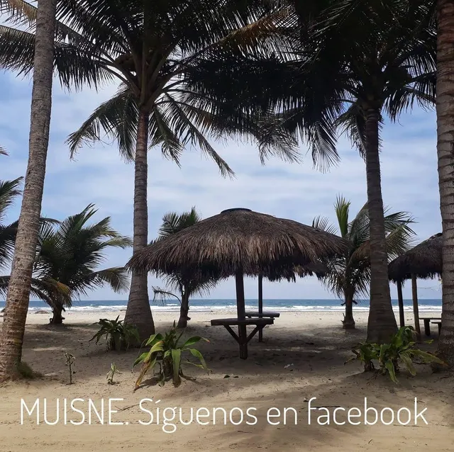 Playa De La Isla De Muisne