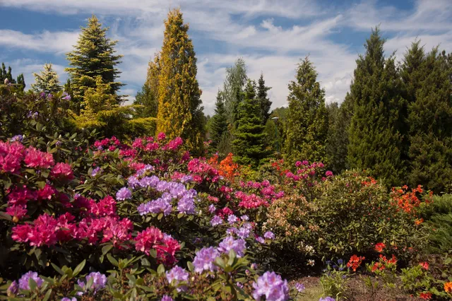 Leśny Bank Genów Kostrzyca
