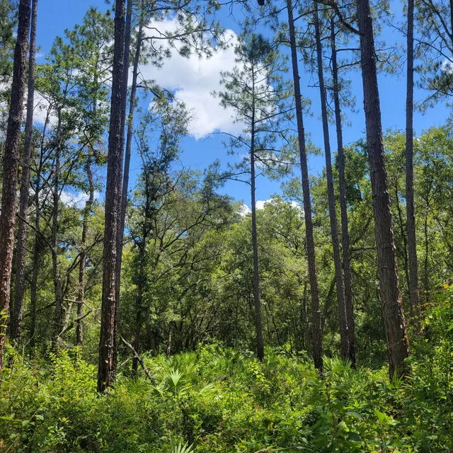 Richloam Wildlife Management Area