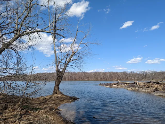 Elizabeth Mills Riverfront Park