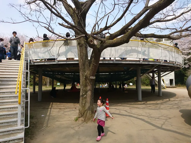 Ibaraki Prefectural Museum of Natural History Trampoline