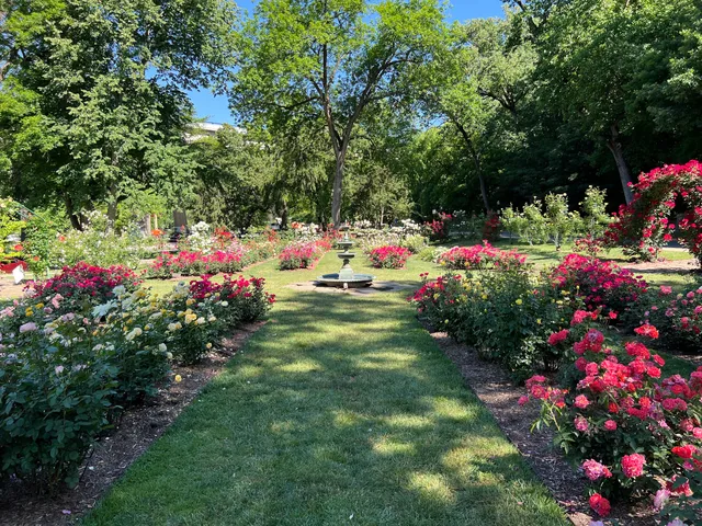 Jasper Crane Rose Garden