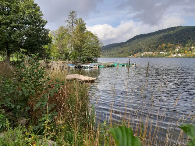 Sentier du tour du lac de Gérardmer