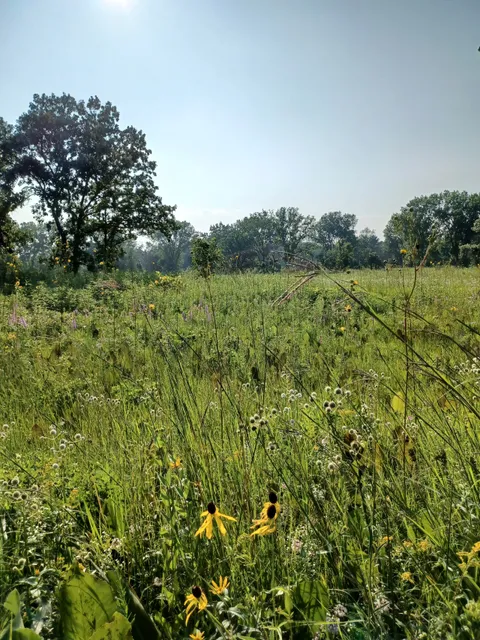 Wolf Road Prairie Nature Preserve