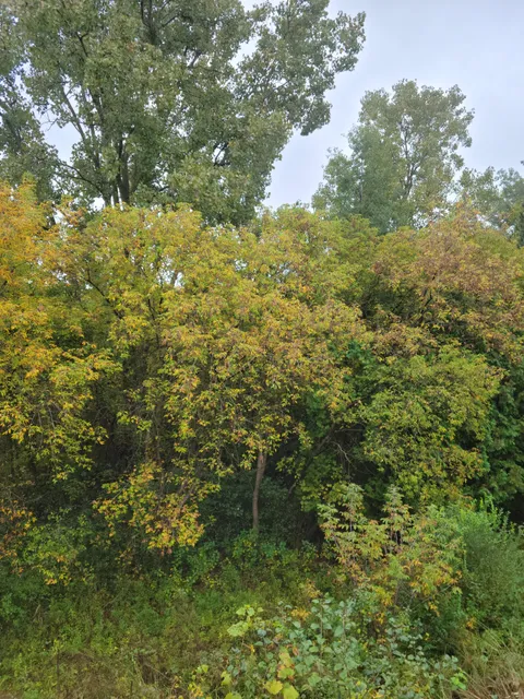 Waterford Oaks County Park