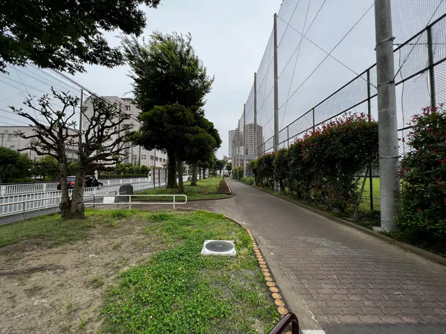 photo-3