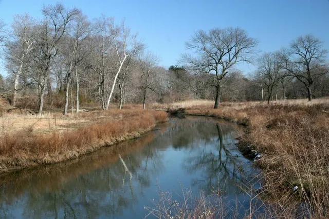 Mantua Creek