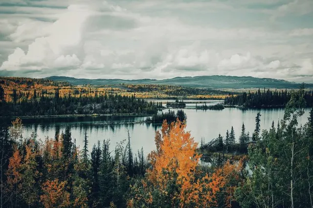 Memorial University Botanical Garden