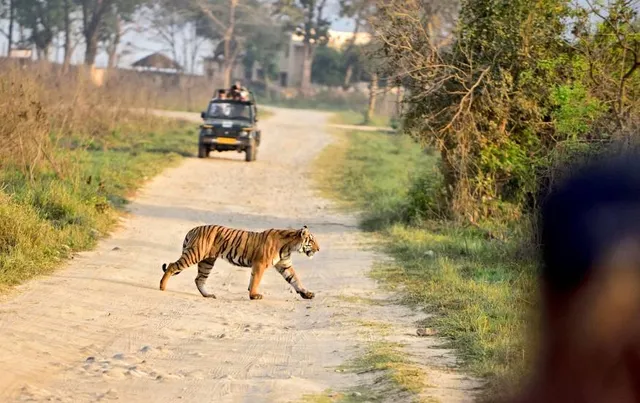 Jim Corbett National Park Uttarakhand India
