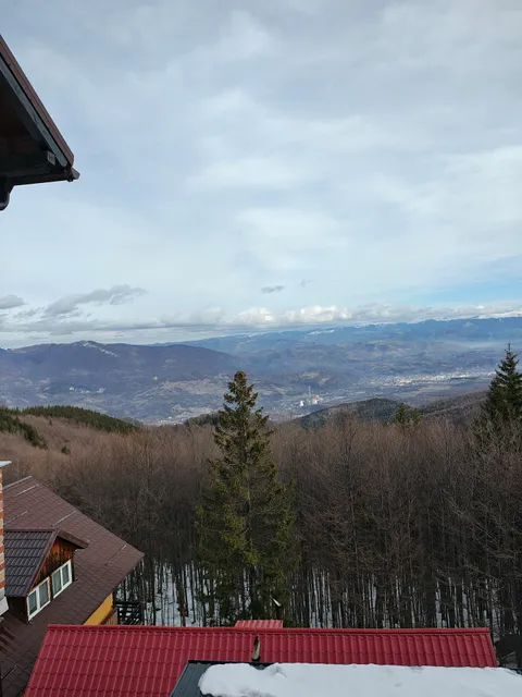 Cabana Floare de Colt Straja