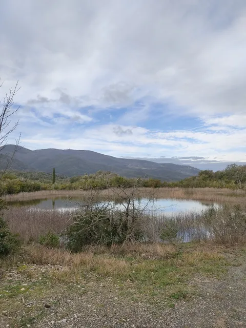 Monteverdi Marittimo