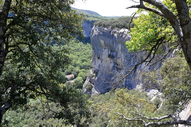 Le vallon de l'Aigue Brun
