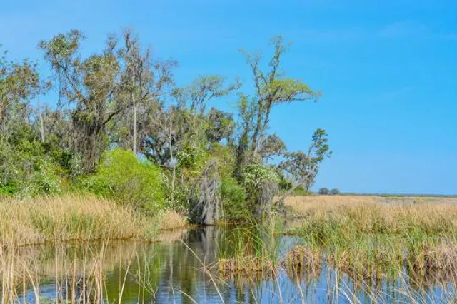 Savannah National Wildlife Refuge