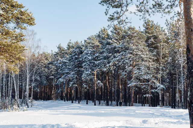 Kalinowski park, Yekaterinburg