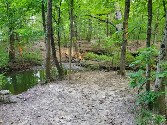Highbank Park Earthworks