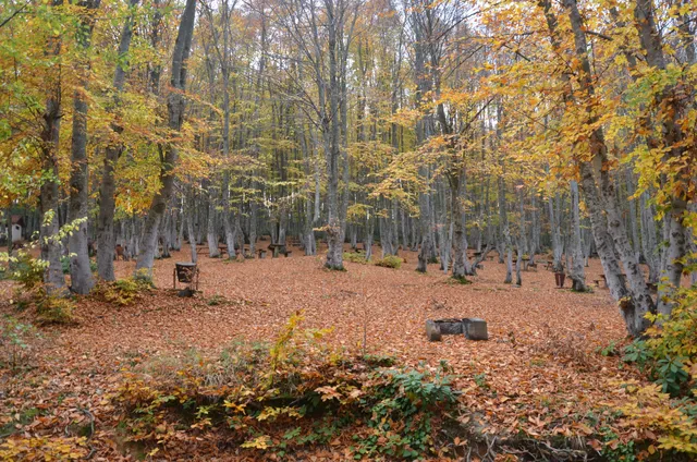 Göldağı Tabiat Parkı