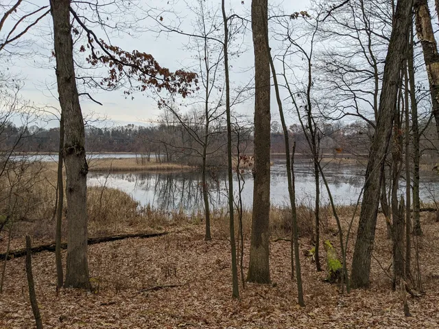 Asylum Lake Preserve