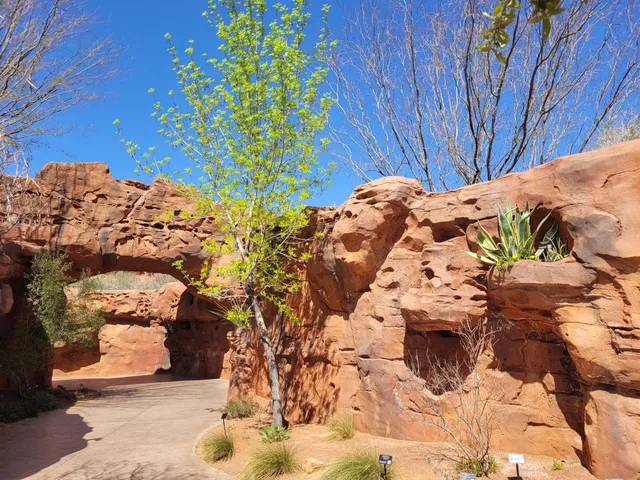 Red Hills Desert Garden