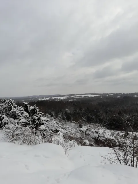 Grzęda Mirowska (Mirowskie Skały).