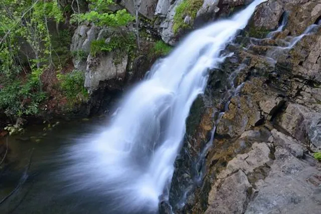 photo-2