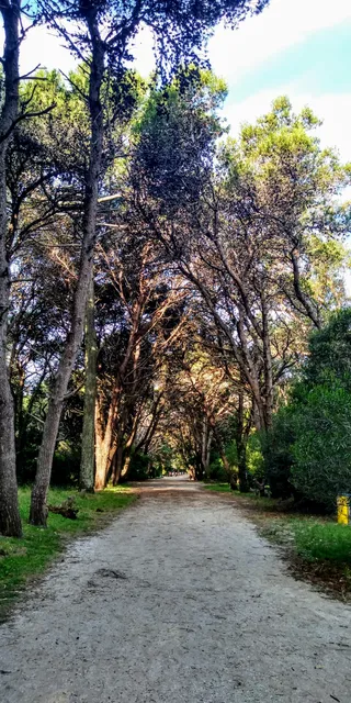 Vivero Municipal Dr. Cosme Argerich