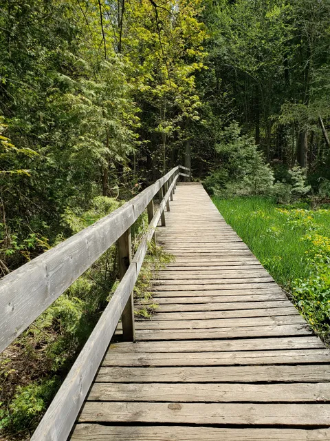 Robert Edmondson Conservation Area