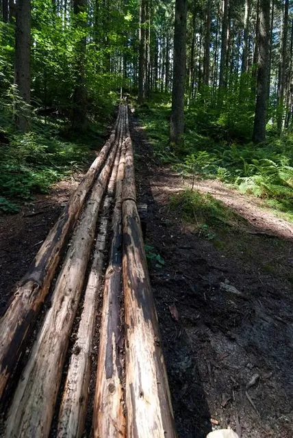 Texas Forestry Museum