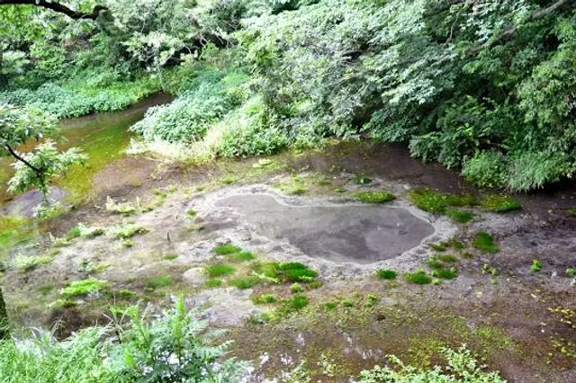 photo-3