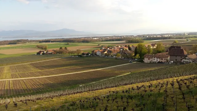Cabane Forestière (Sentier Des Châtaignes)