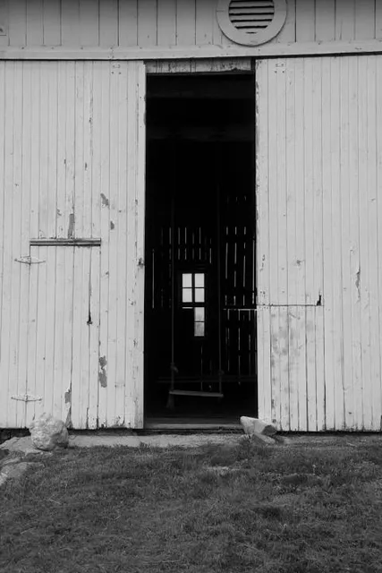 The Giant Barn Swing
