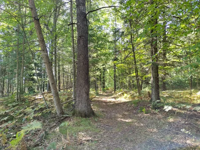 Missaukee Ski Mountain