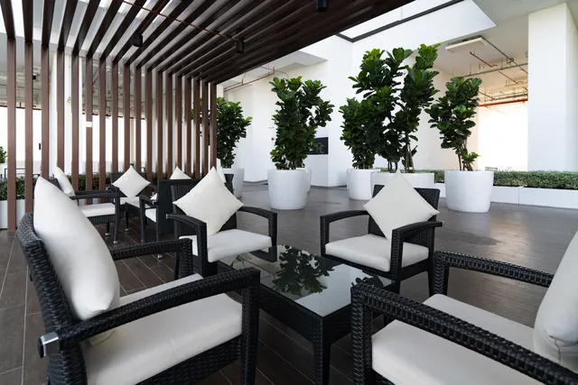 Amber Cove Impression City by Dawn Stay