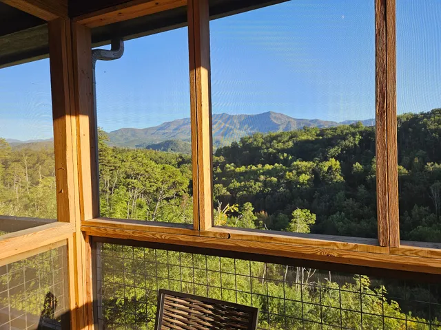 Beartastic Mountain View Lodge